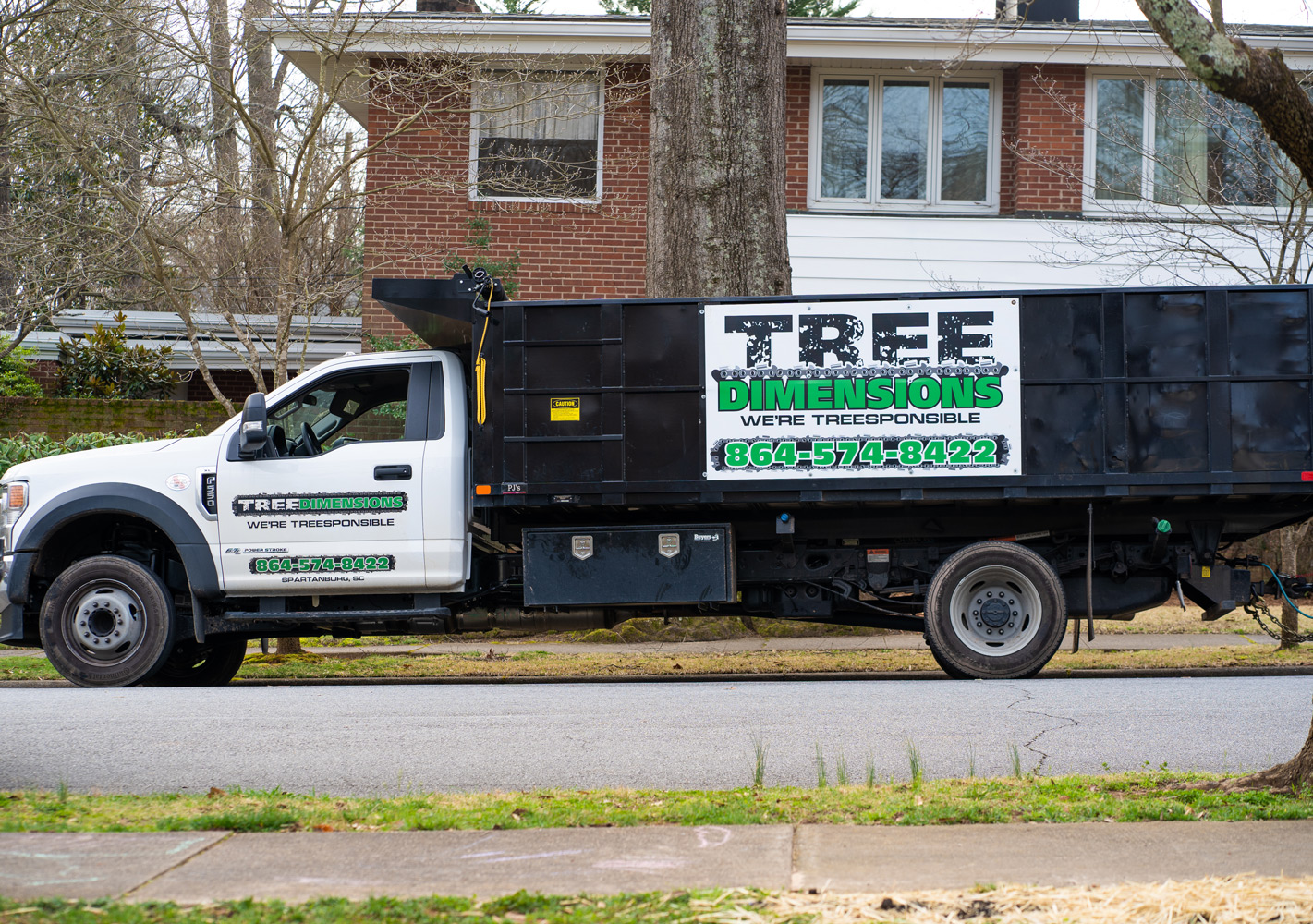 Tree Leasing Why Hiring the Cheapest Tree Company Can Cost You More | Tree Dimensions